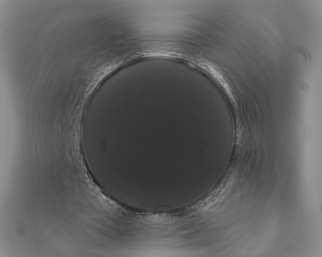 X0000111910385200908101205