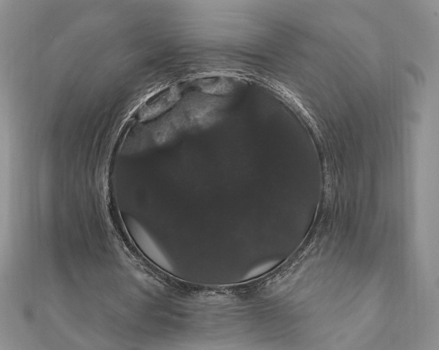 X0000111910386200908101205