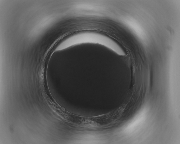 X0000111910387200908101205