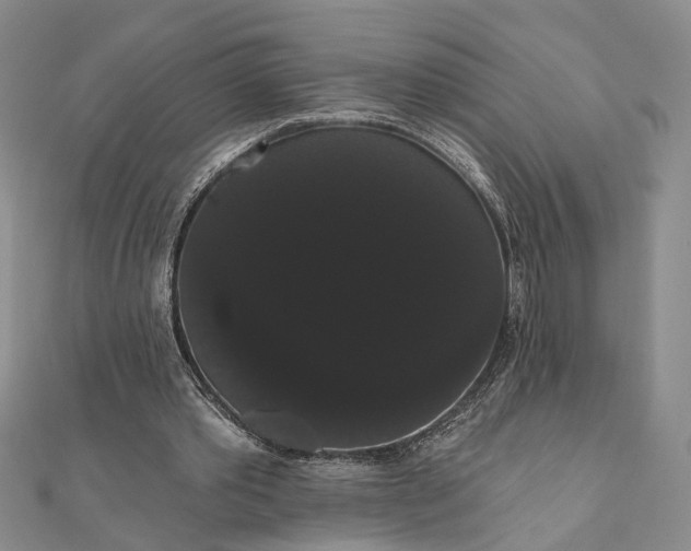 X0000111910389200908101205