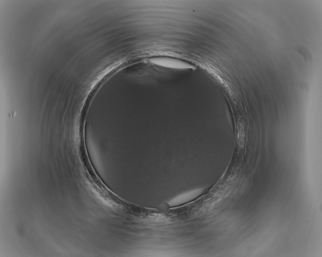 X0000111910390200908101205