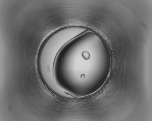 X0000111910391200908101205