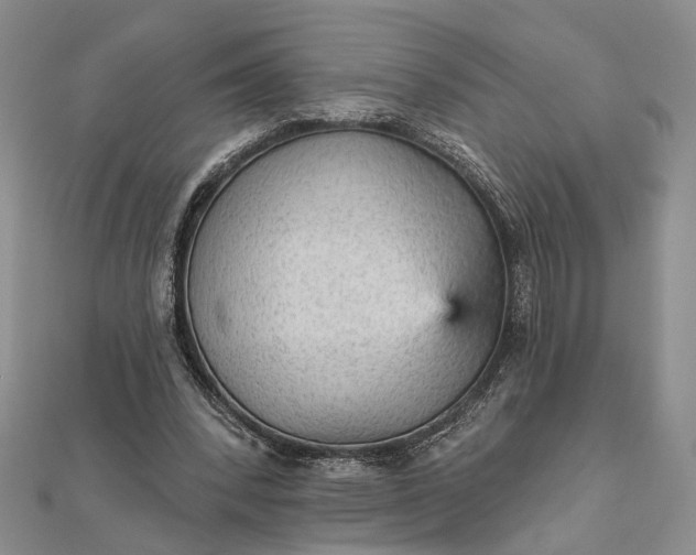 X0000111910392200908101205