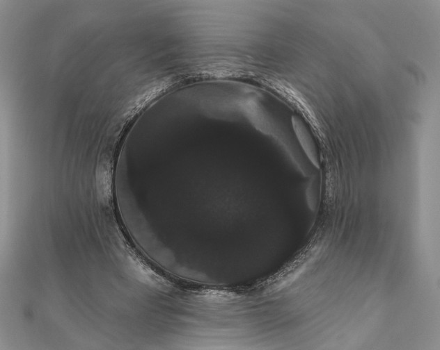 X0000111910393200908101205