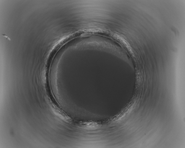 X0000111910395200908101205