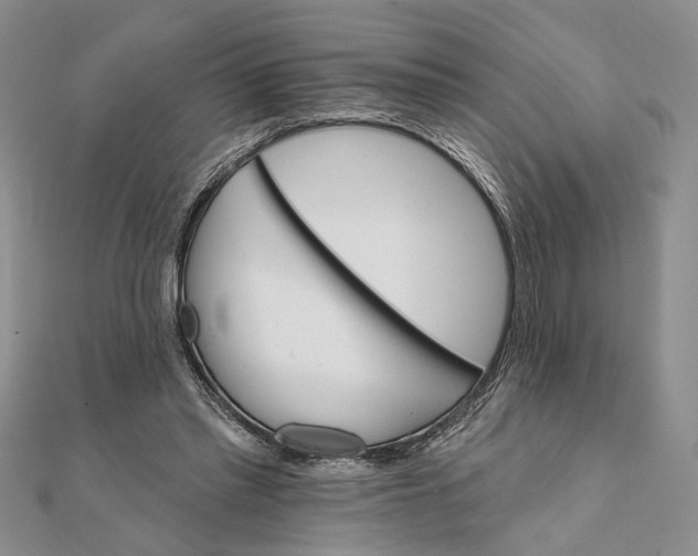 X0000111910397200908101205