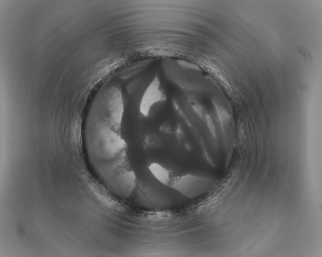 X0000111910398200908101205