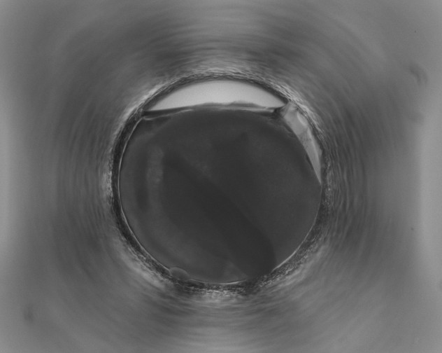 X0000111910399200908101205