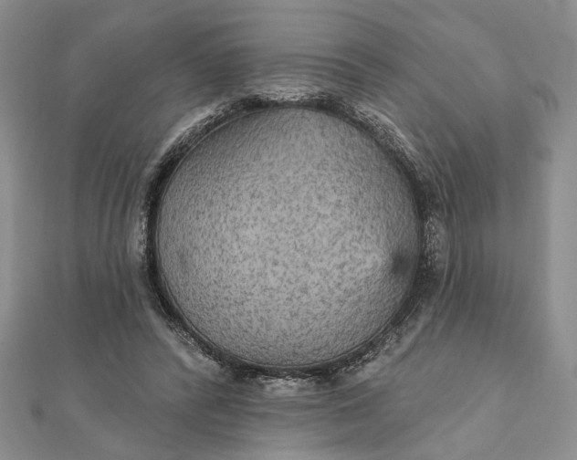 X0000111910400200908101205