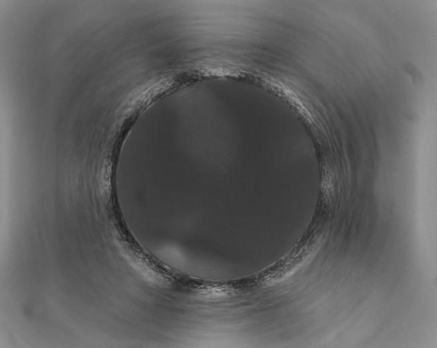 X0000111910402200908101205