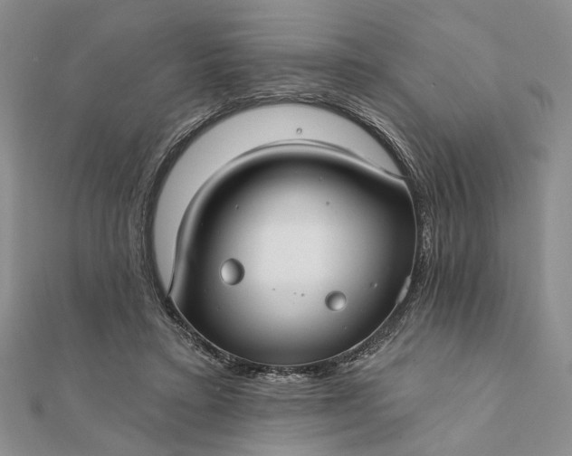 X0000111910403200908101205