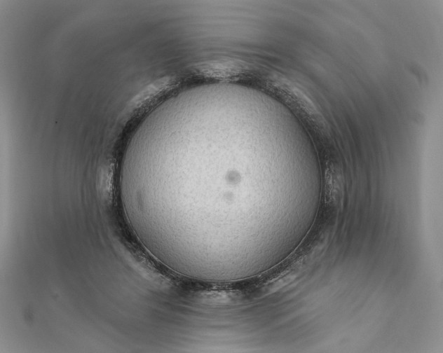 X0000111910404200908101205