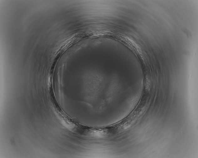 X0000111910405200908101205