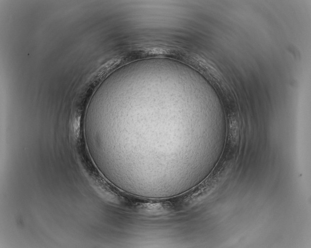 X0000111910406200908101205