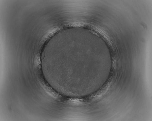 X0000111910407200908101205