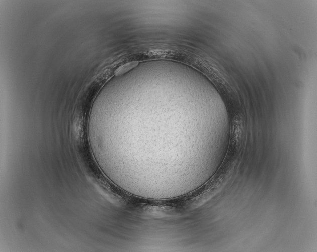 X0000111910408200908101205