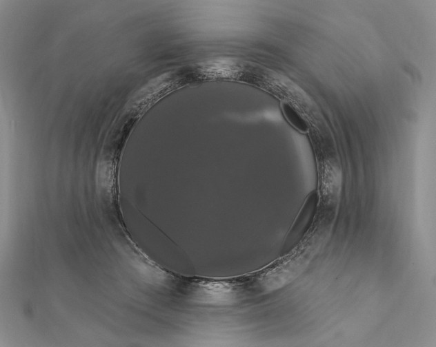 X0000111910409200908101205