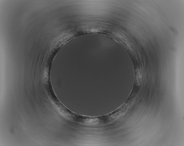 X0000111910410200908101205