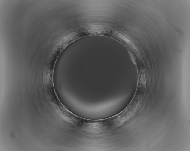 X0000111910411200908101205