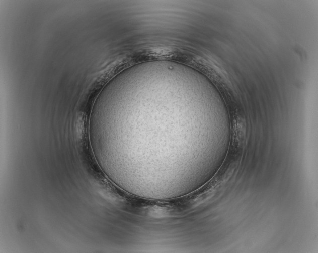 X0000111910412200908101205