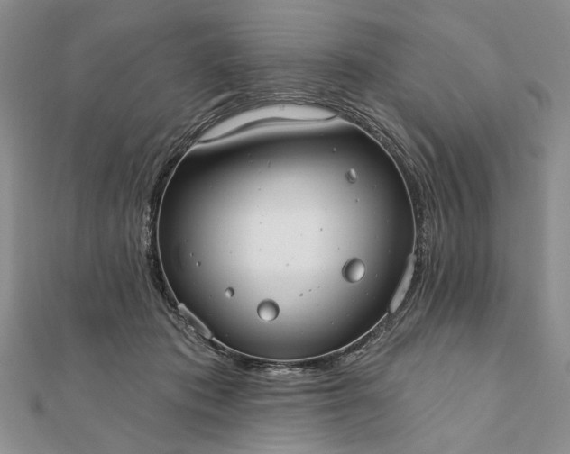 X0000111910413200908101205