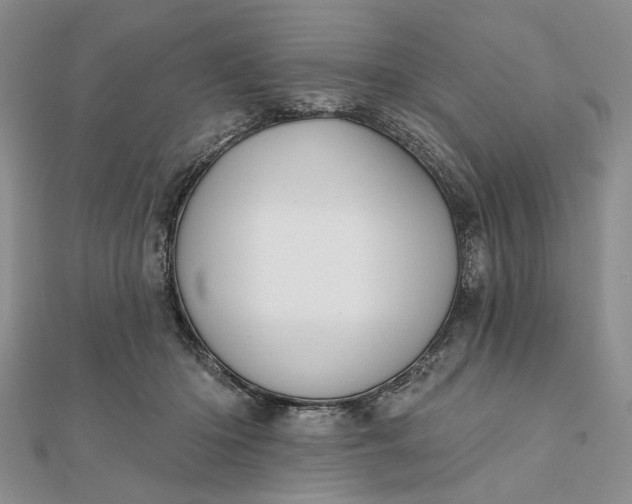 X0000111910414200908101205