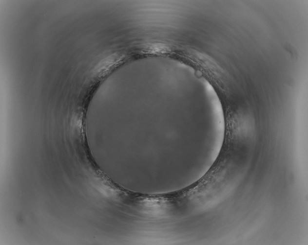 X0000111910415200908101205