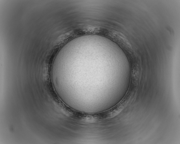 X0000111910416200908101205