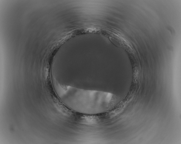 X0000111910417200908101205