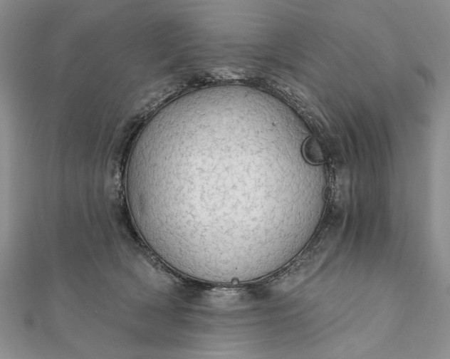 X0000111910418200908101205