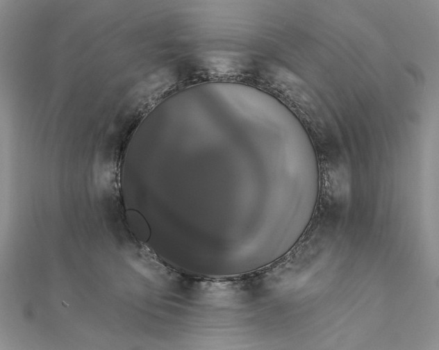 X0000111910419200908101205