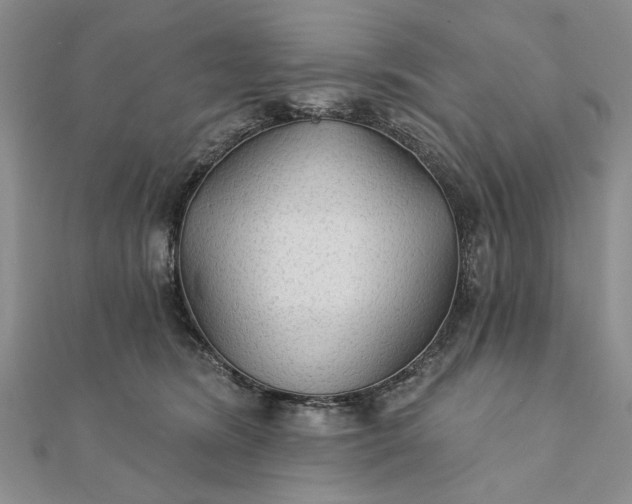 X0000111910420200908101205