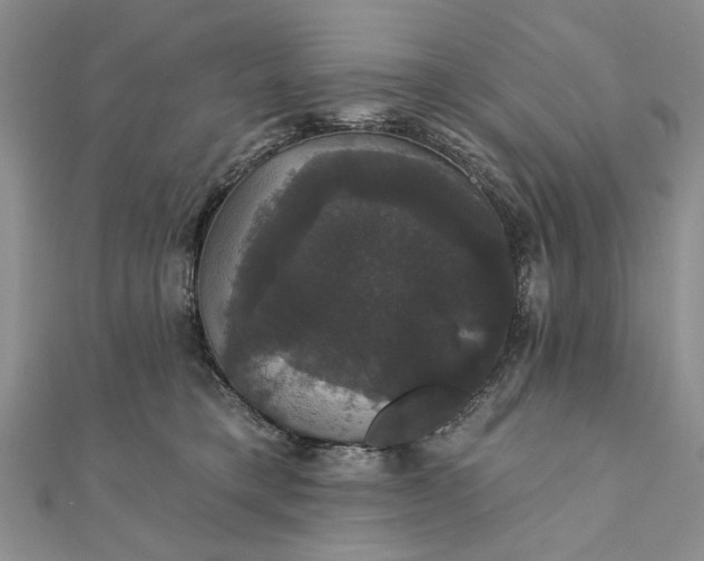 X0000111910421200908101205