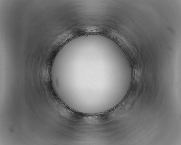 X0000111910422200908101205