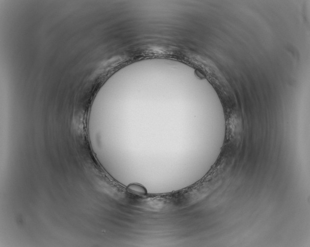 X0000111910423200908101205