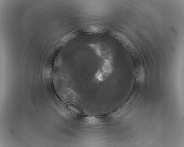 X0000111910425200908101205