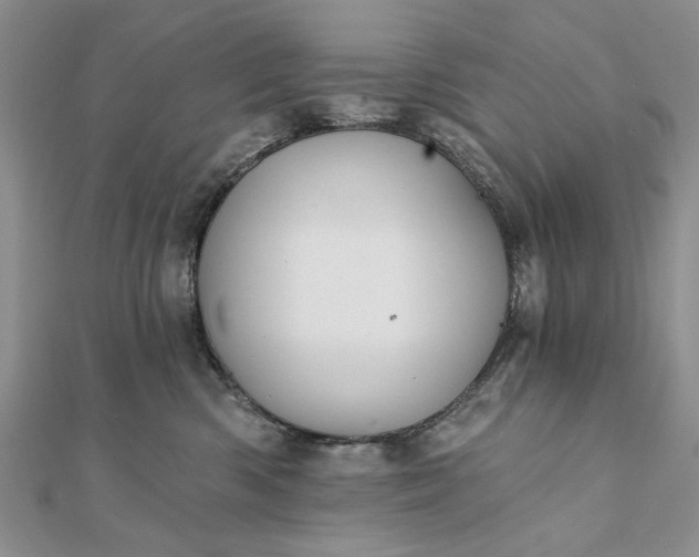 X0000111910426200908101205