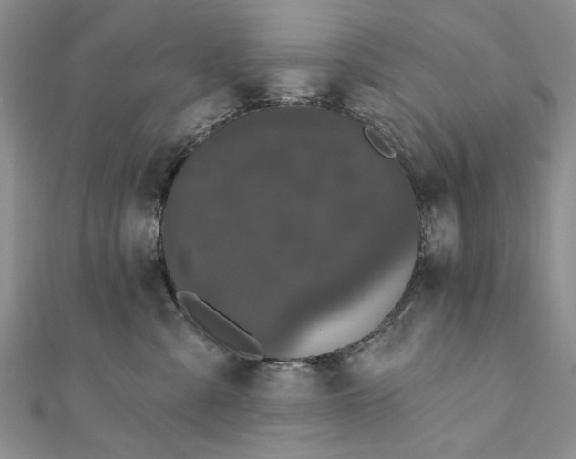 X0000111910427200908101205