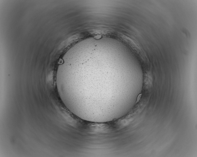 X0000111910428200908101205