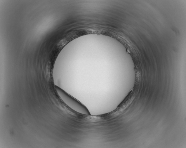 X0000111910429200908101205