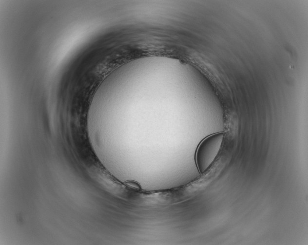 X0000111910430200908101205