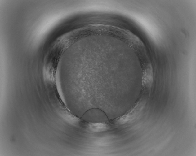 X0000111910431200908101205