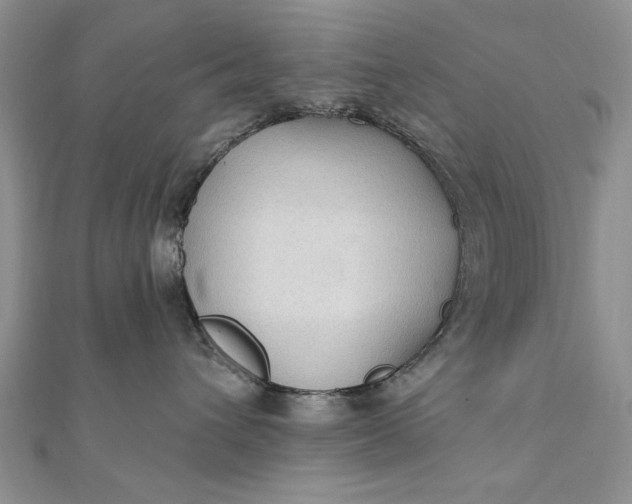 X0000111910432200908101205