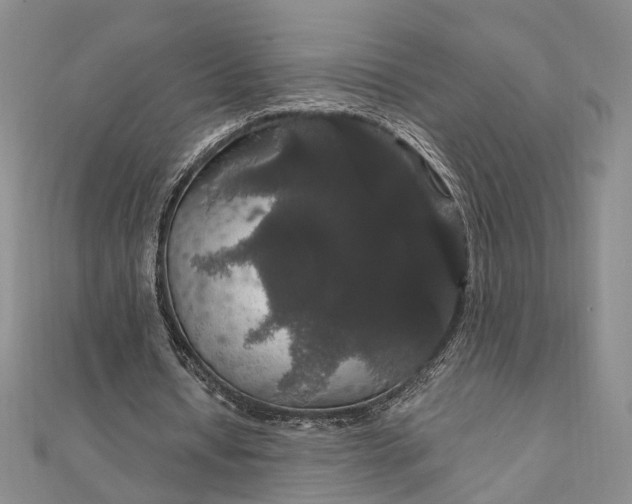 X0000111910434200908101204