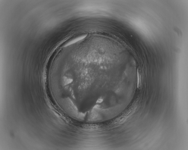 X0000111910435200908101204