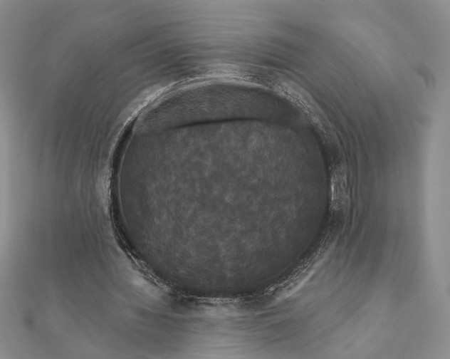 X0000111910436200908101204