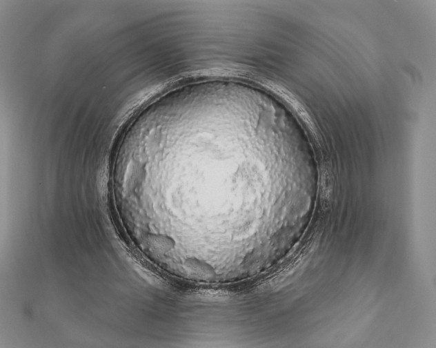 X0000111910437200908101204