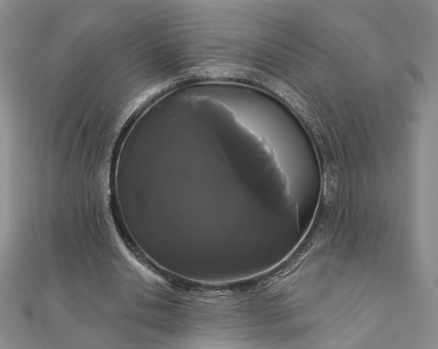 X0000111910438200908101204