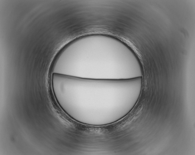 X0000111910439200908101204