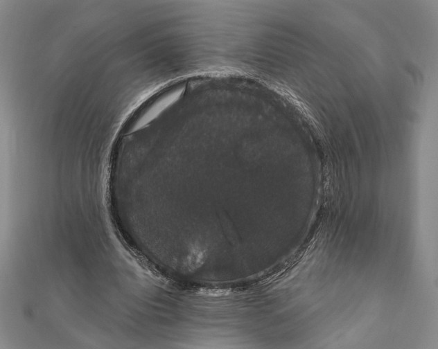 X0000111910440200908101204